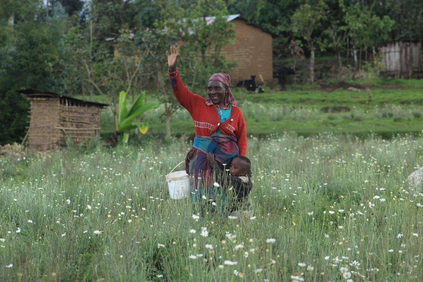 Community tourism activities
