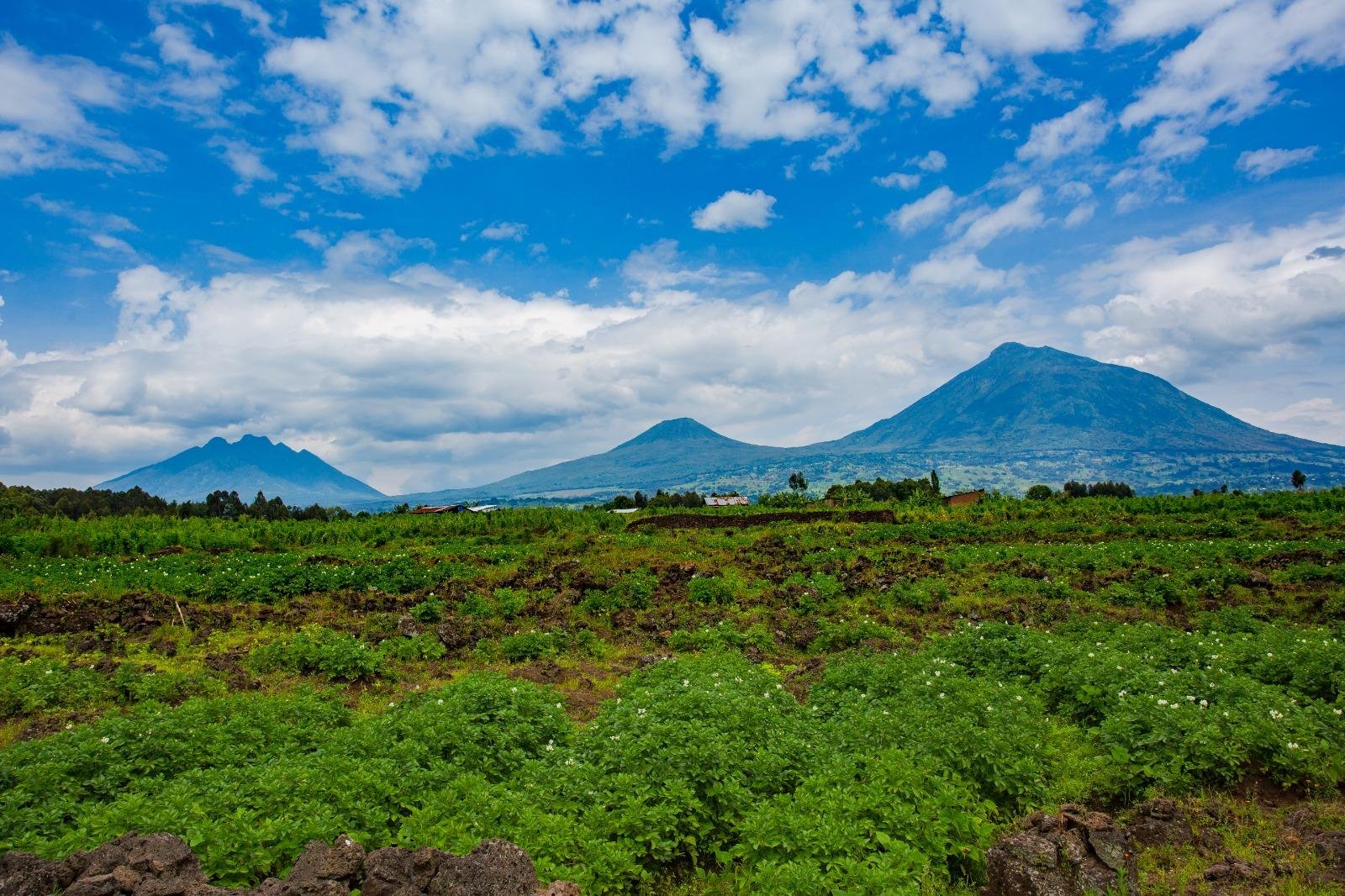Volcanic Peaks Expedition