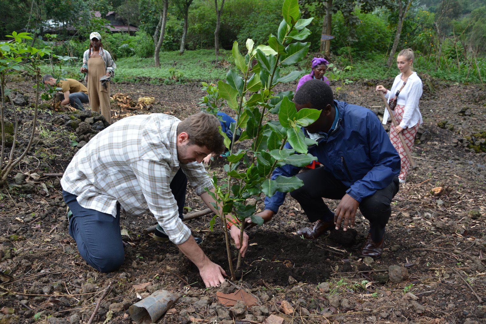 Contact Virunga Ecotours Community