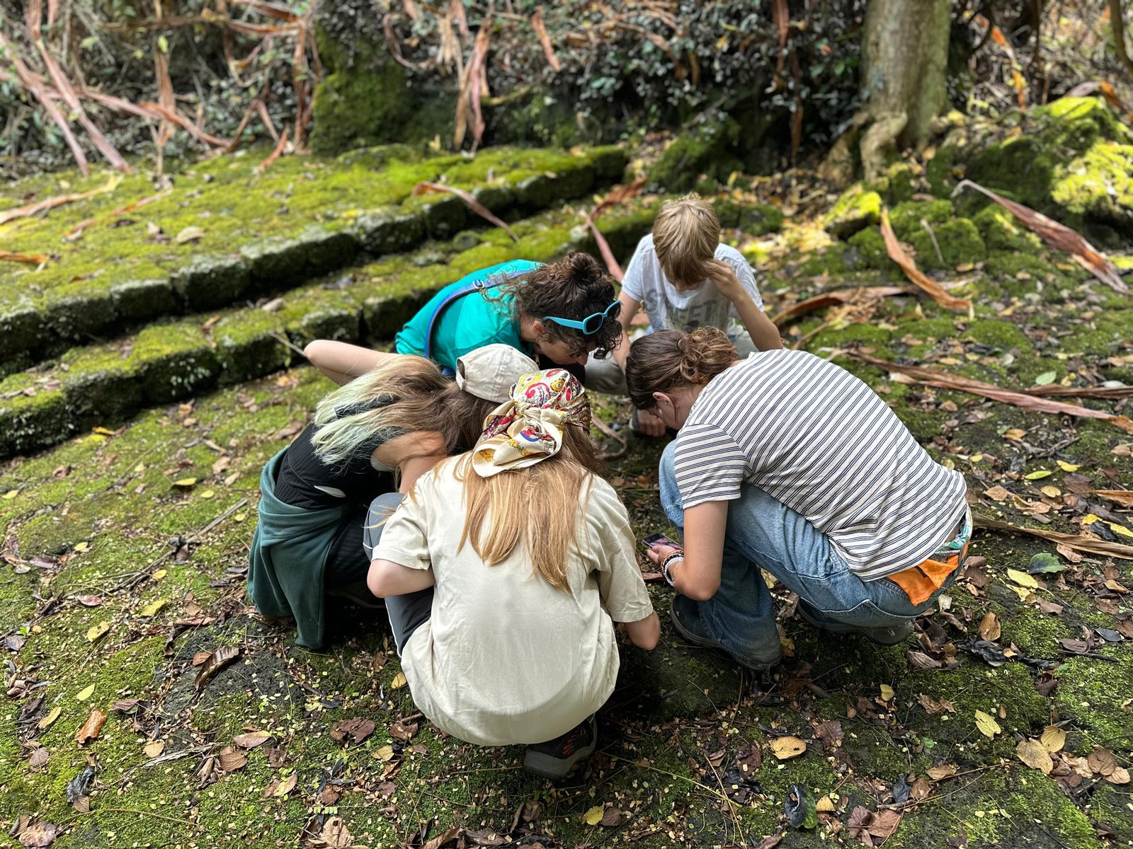 3-Day Virunga Love and Legacy Experience for Couples and Families